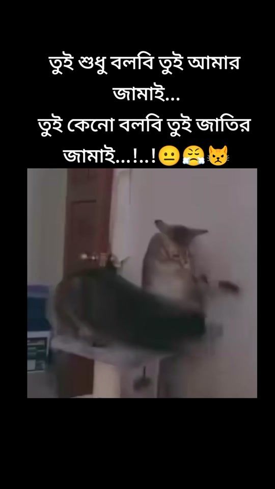 TikTok video thumbnail by user577282912030