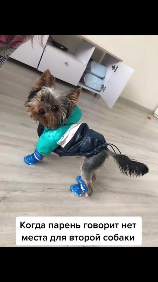 TikTok video thumbnail by jeni.zhemchug