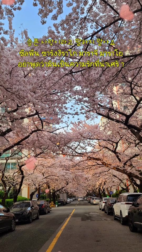 TikTok video thumbnail by sunset_0730