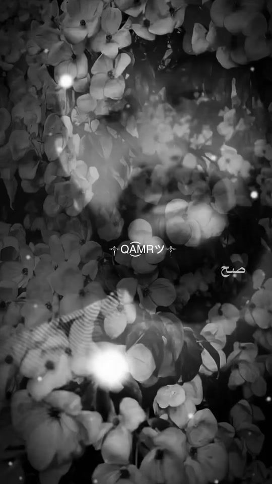 TikTok video thumbnail by qmr.83