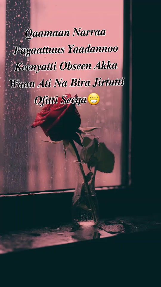 TikTok video thumbnail by abdiinkoosima32