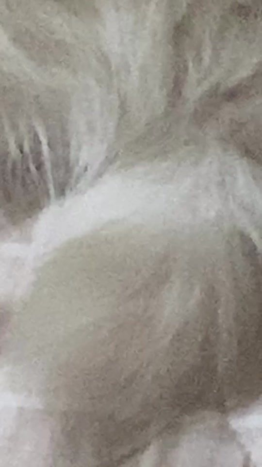 TikTok video thumbnail by q1000408
