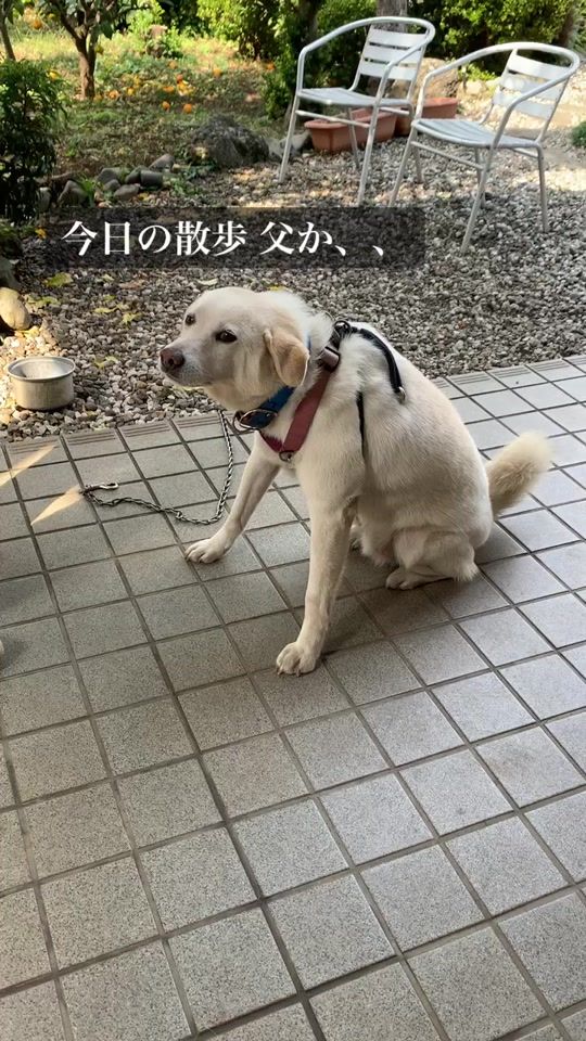TikTok video thumbnail by shukos