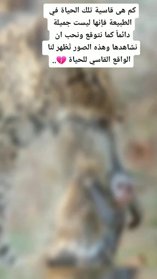 TikTok video thumbnail by 2d2w