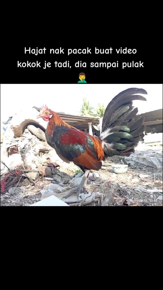 TikTok video thumbnail by sukihuss_