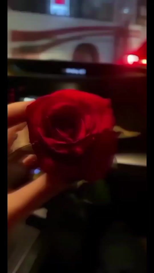 TikTok video thumbnail by roya_______