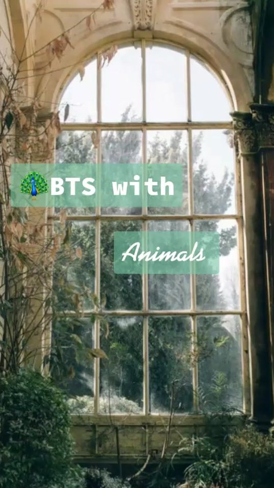 TikTok video thumbnail by winter_bear.v