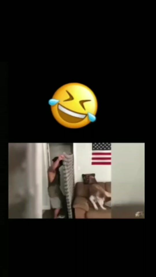 TikTok video thumbnail by _humorymemes