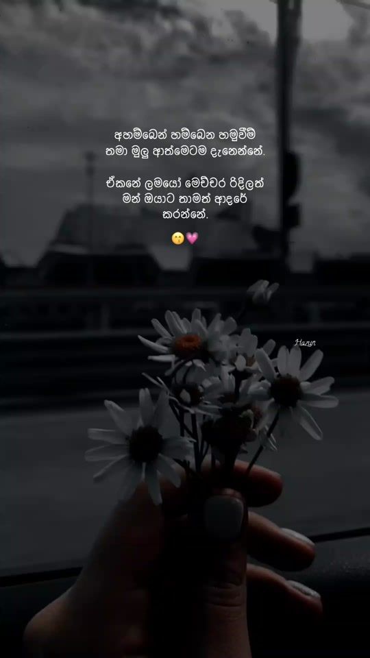 TikTok video thumbnail by korean_flora_