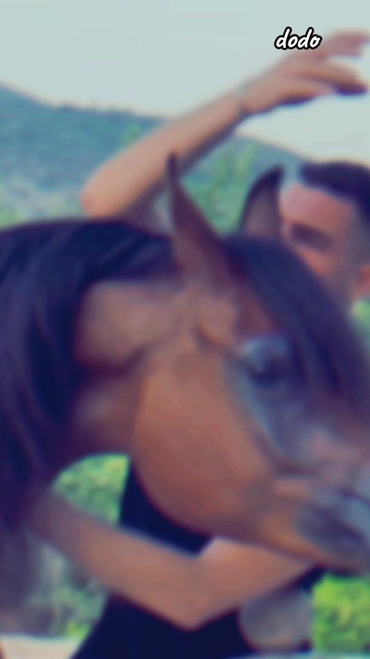 TikTok video thumbnail by d.m.y.a.n.a