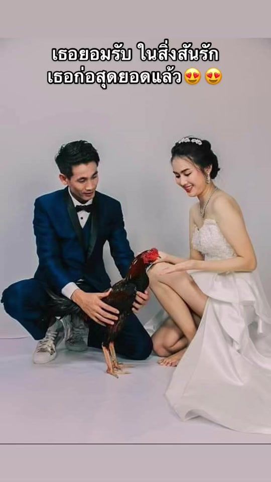 TikTok video thumbnail by wang704