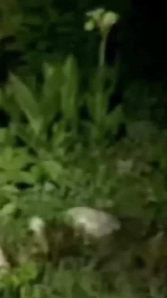 TikTok video thumbnail by y____g6