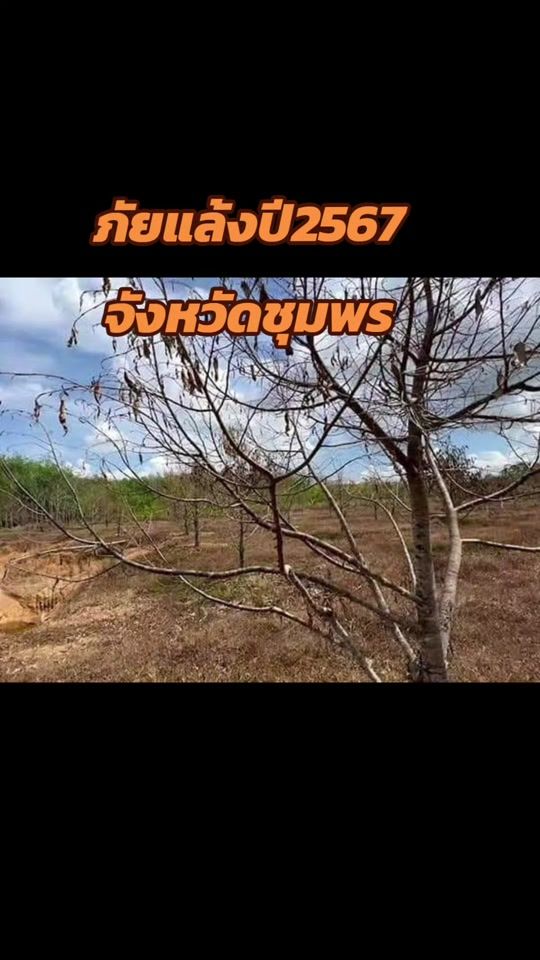 TikTok video thumbnail by annchsky