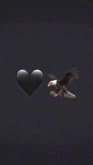 TikTok video thumbnail by 11.hasanows