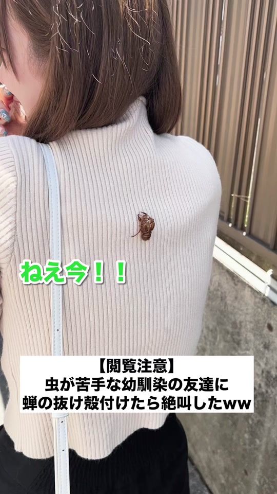 TikTok video thumbnail by osakatsu_tapple