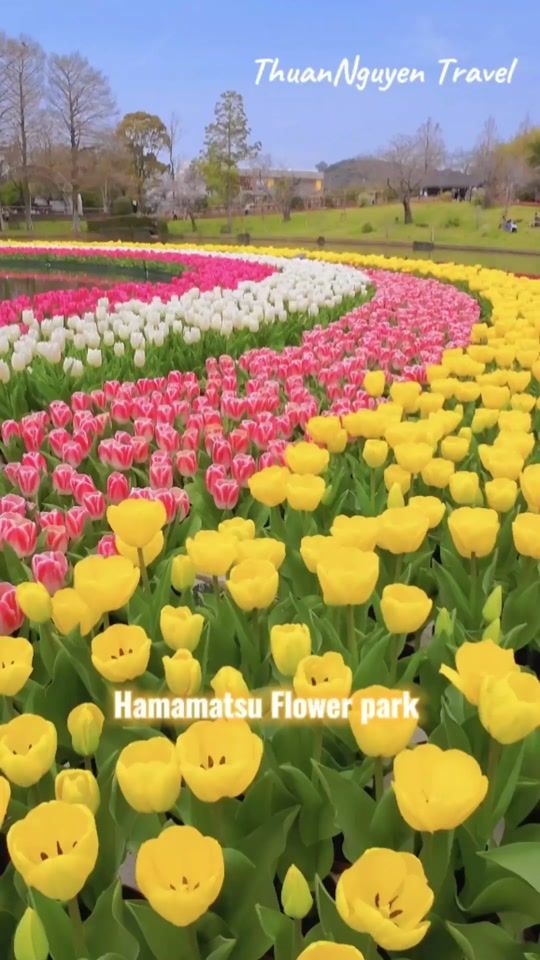 TikTok video thumbnail by thuannguyen_japantravel