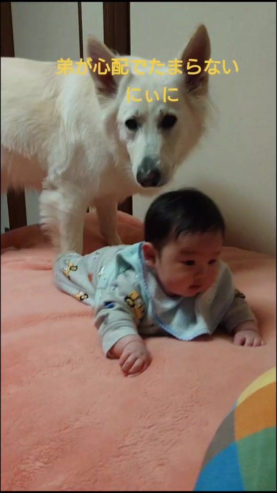 TikTok video thumbnail by ahtlsam