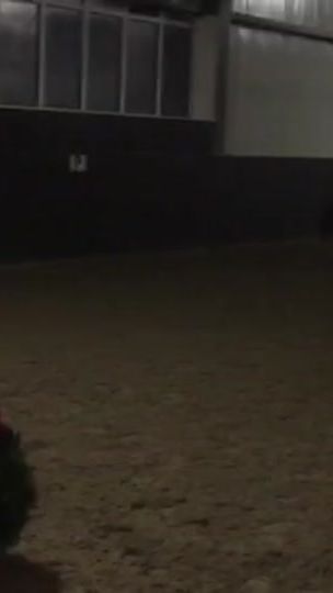 TikTok video thumbnail by ponysquads_
