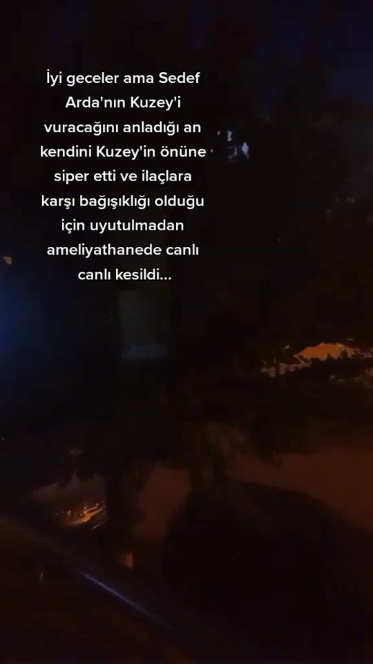 TikTok video thumbnail by booksismyliife