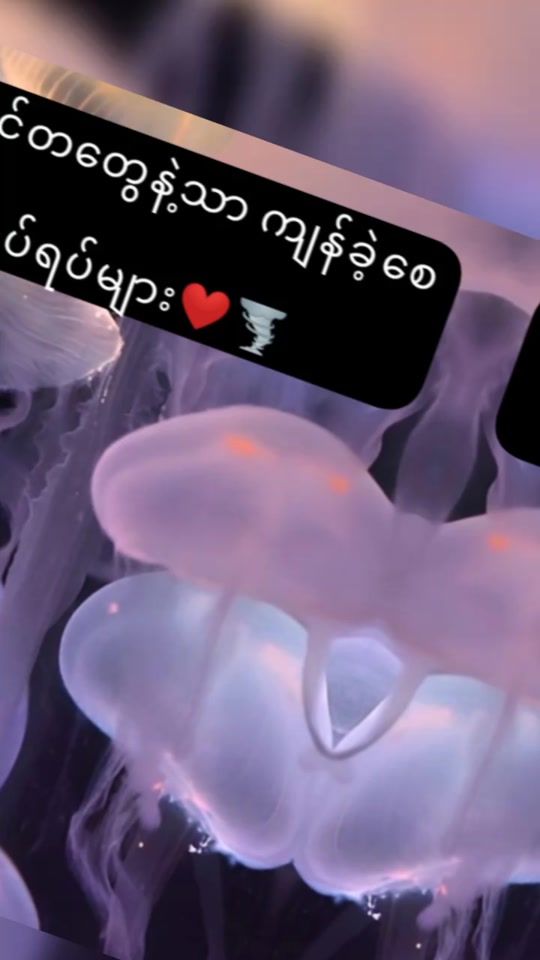 TikTok video thumbnail by btsforeverfangirl