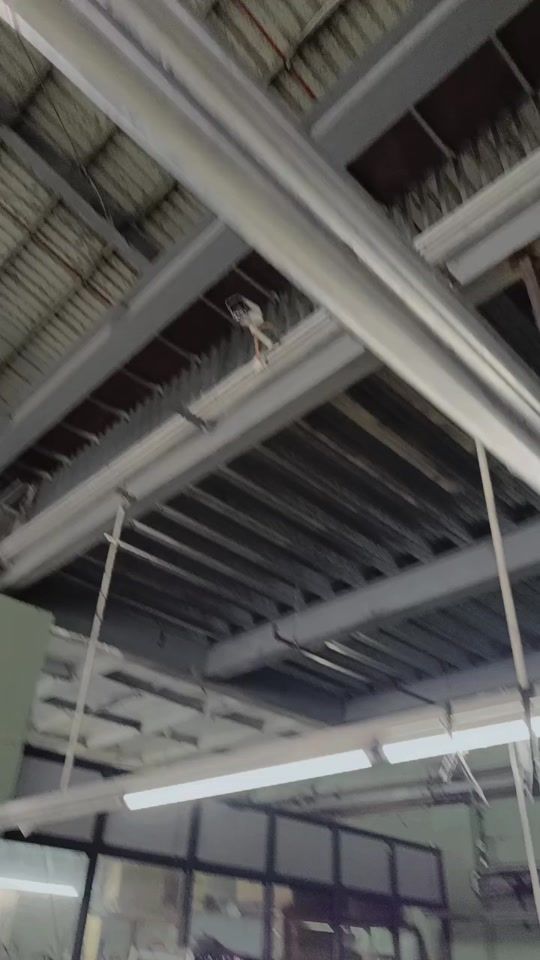 TikTok video thumbnail by soaw88