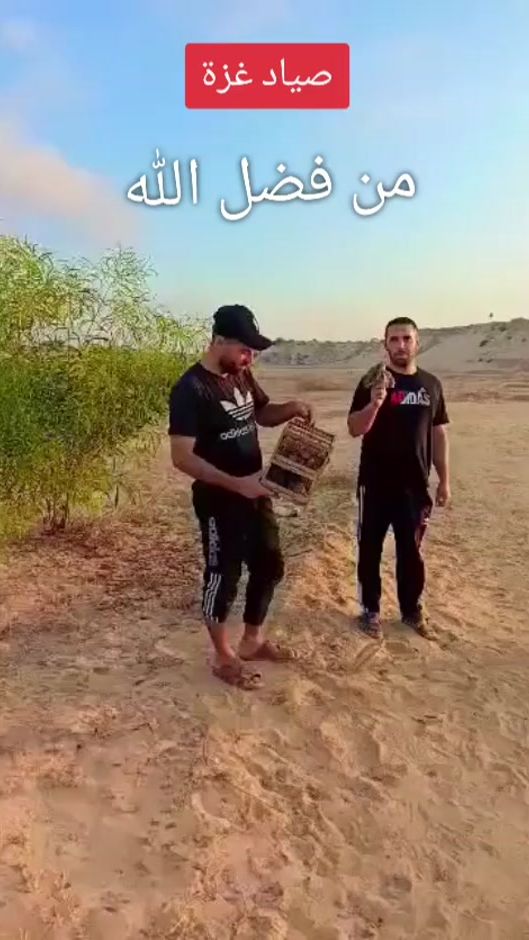 TikTok video thumbnail by yousef_mansur