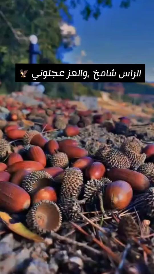 TikTok video thumbnail by 3mmar.sheesh