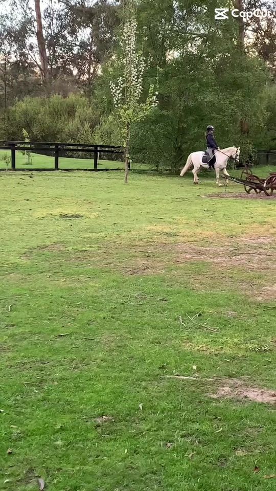 TikTok video thumbnail by eventer_.aus