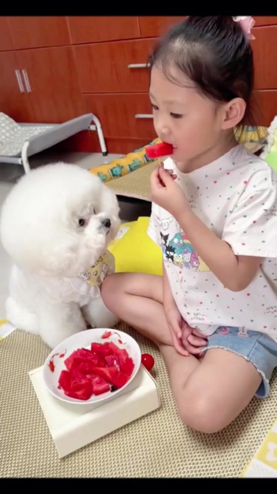 TikTok video thumbnail by cutedog520