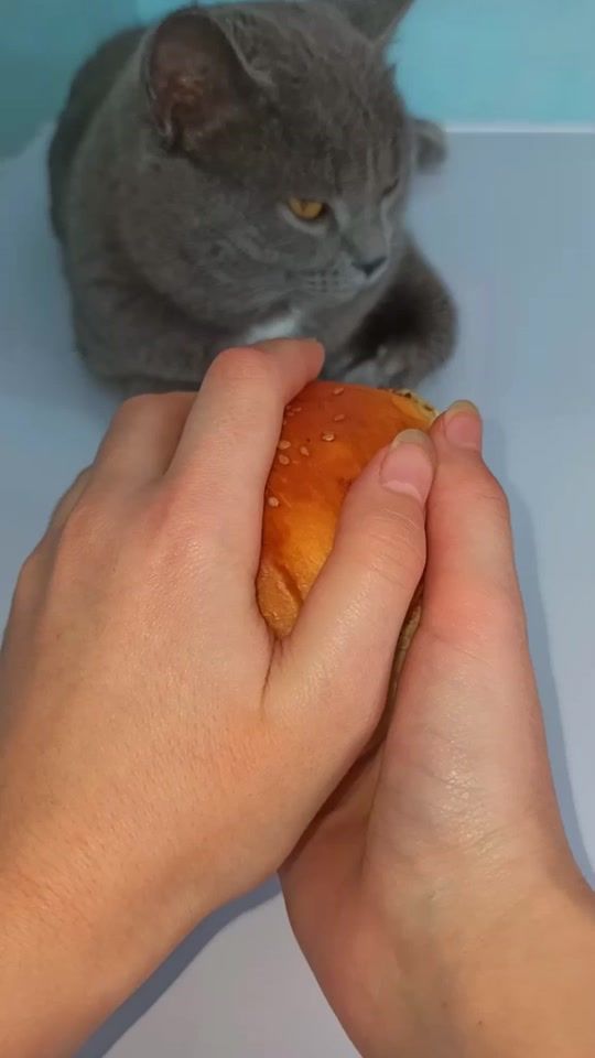 TikTok video thumbnail by tiktokeda5