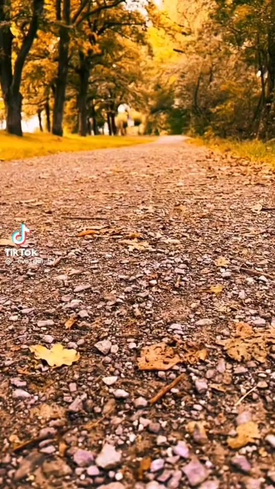 TikTok video thumbnail by ixs7913