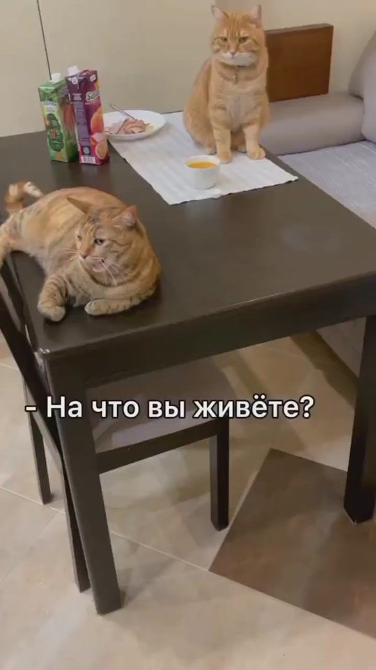 TikTok video thumbnail by marinaaza71