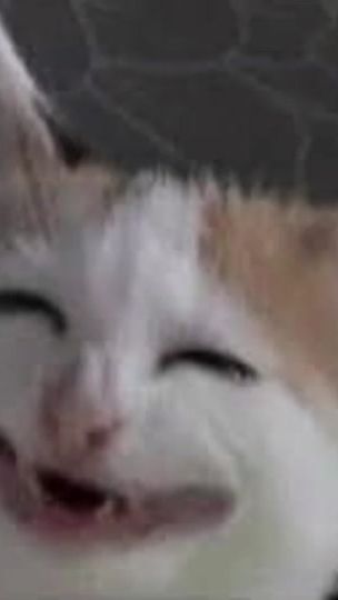 TikTok video thumbnail by 109887sl