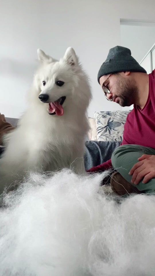 TikTok video thumbnail by kumoandkiba