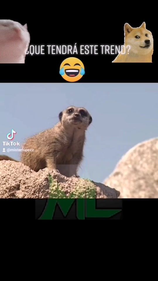 TikTok video thumbnail by regalandorisass
