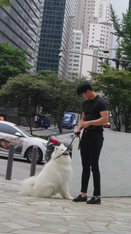 TikTok video thumbnail by jayandsom