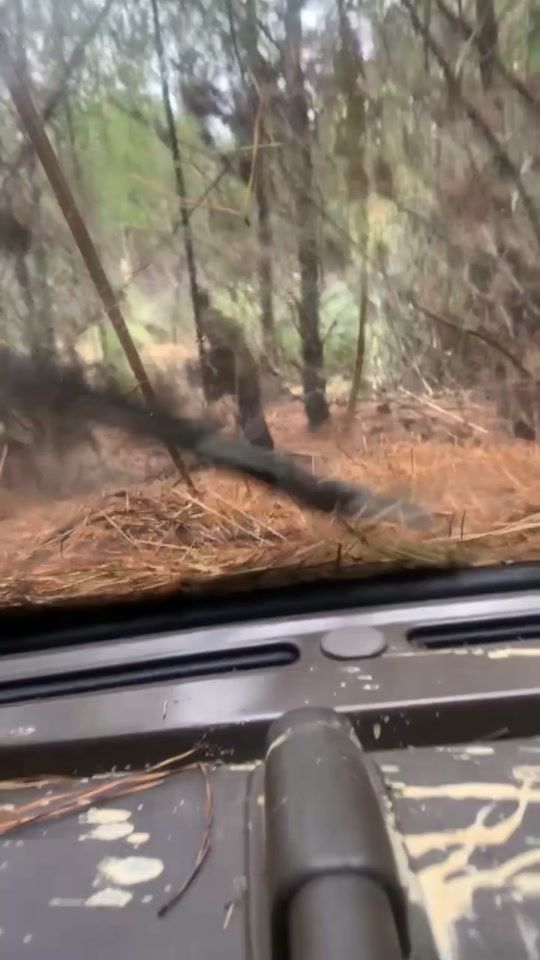 TikTok video thumbnail by katie.wicks