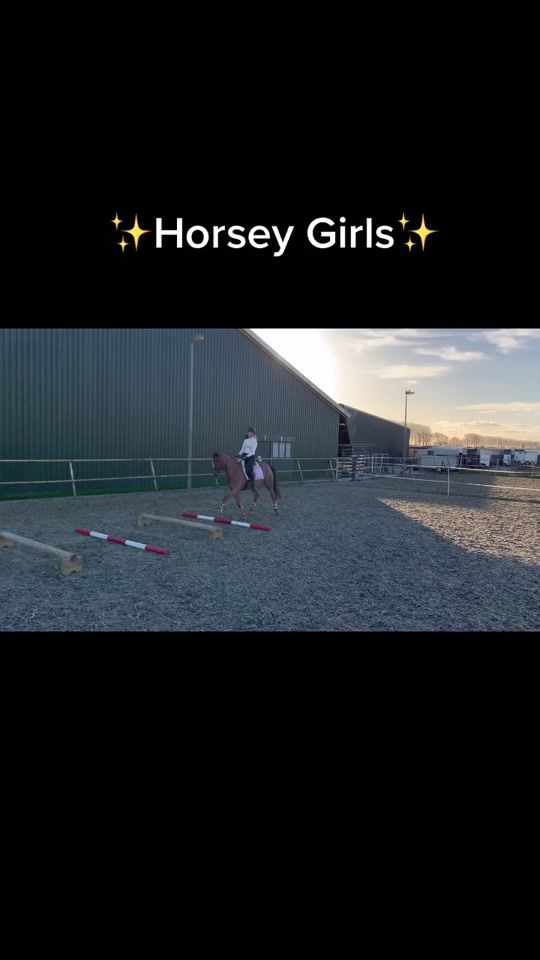 TikTok video thumbnail by indiavanleeuwen