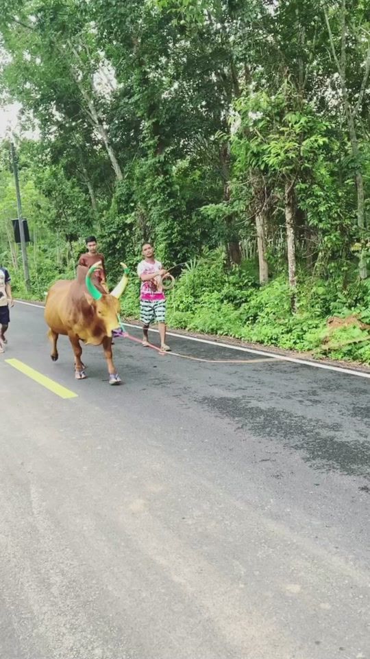TikTok video thumbnail by ufa7878