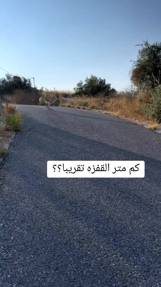 TikTok video thumbnail by jaado33