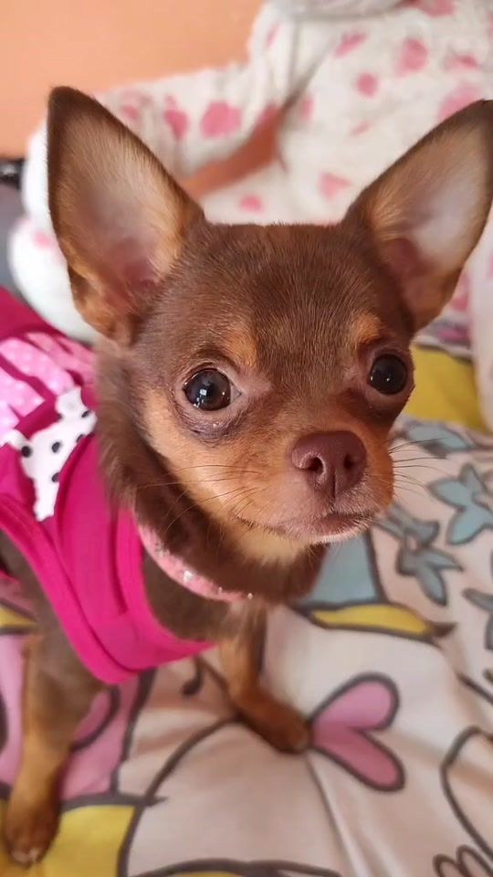 TikTok video thumbnail by cosas_de_mabel