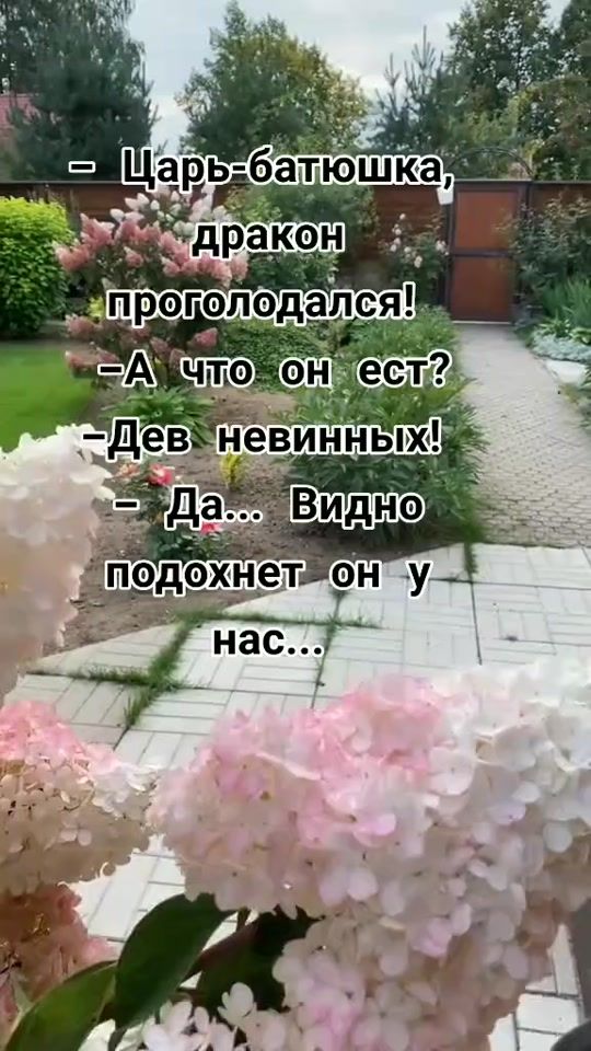 TikTok video thumbnail by taniaumop5