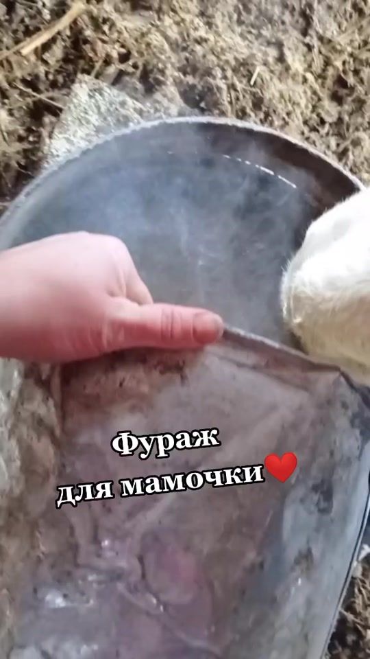 TikTok video thumbnail by ann_richthofen