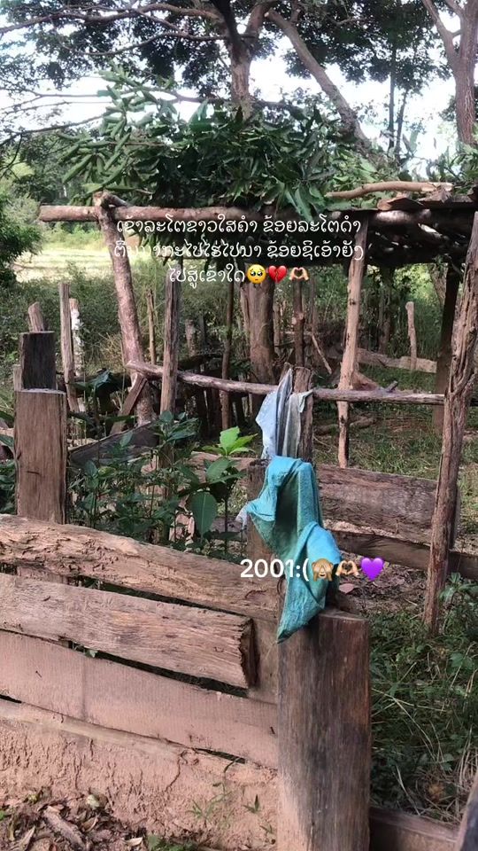 TikTok video thumbnail by whirlwind234