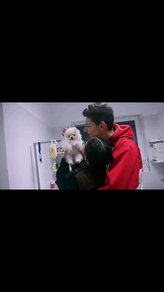 TikTok video thumbnail by bibiantoniolove_18