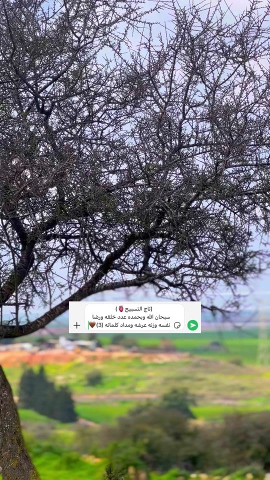 TikTok video thumbnail by _bdwe_5