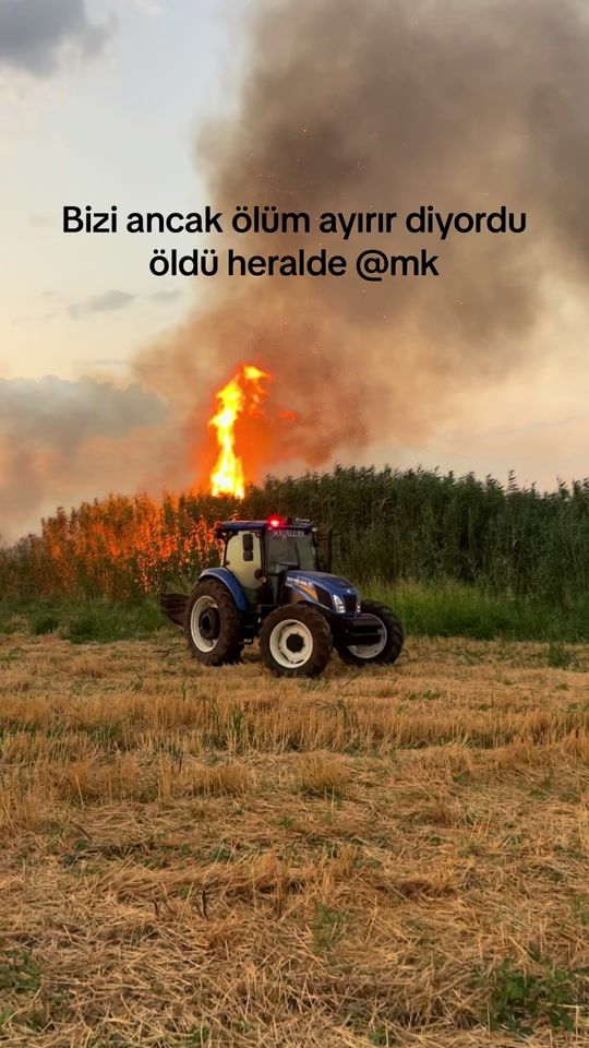 TikTok video thumbnail by mrsd_krmz