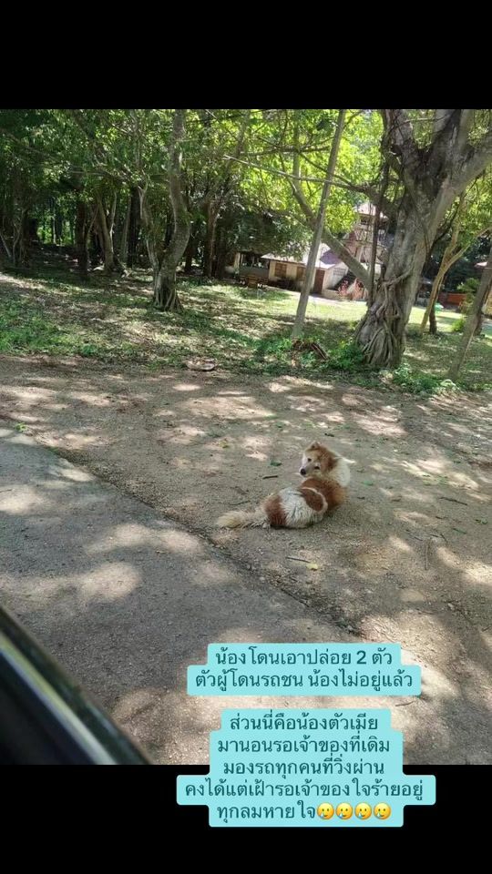TikTok video thumbnail by krupom07