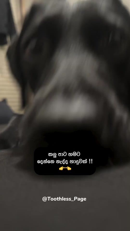 TikTok video thumbnail by page_toothless