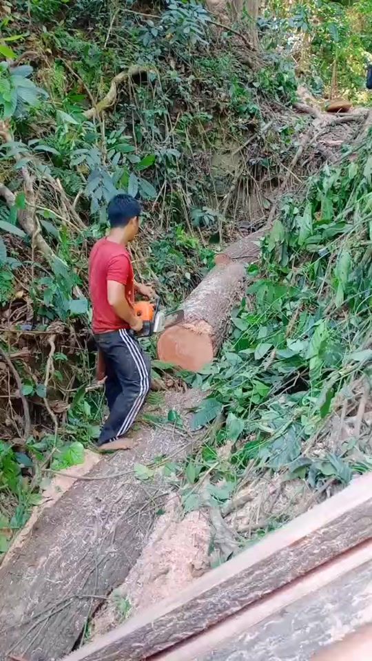 TikTok video thumbnail by rhudee982